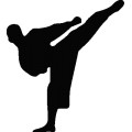 Karate Silhouette