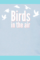 birds in the air
